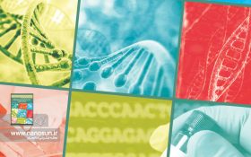 گزارش کوتاه صنعتی «نانوحسگرهای تشخیص توالی DNA و ژنهای معیوب» را دانلود کنید